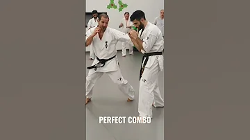 KNOCKOUT FIGHT Technique KYOKUSHIN Karate 