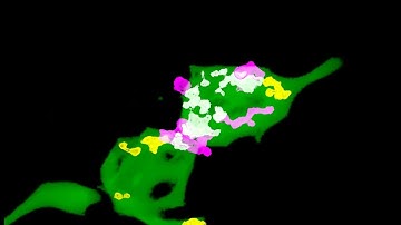 Merging methods to map synaptic connections