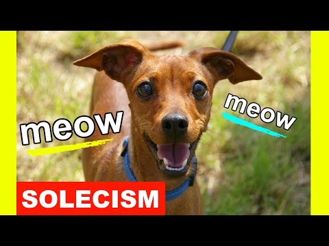 Learn English Vocabulary: SOLECISM Meaning (Educational Videos For College Students)