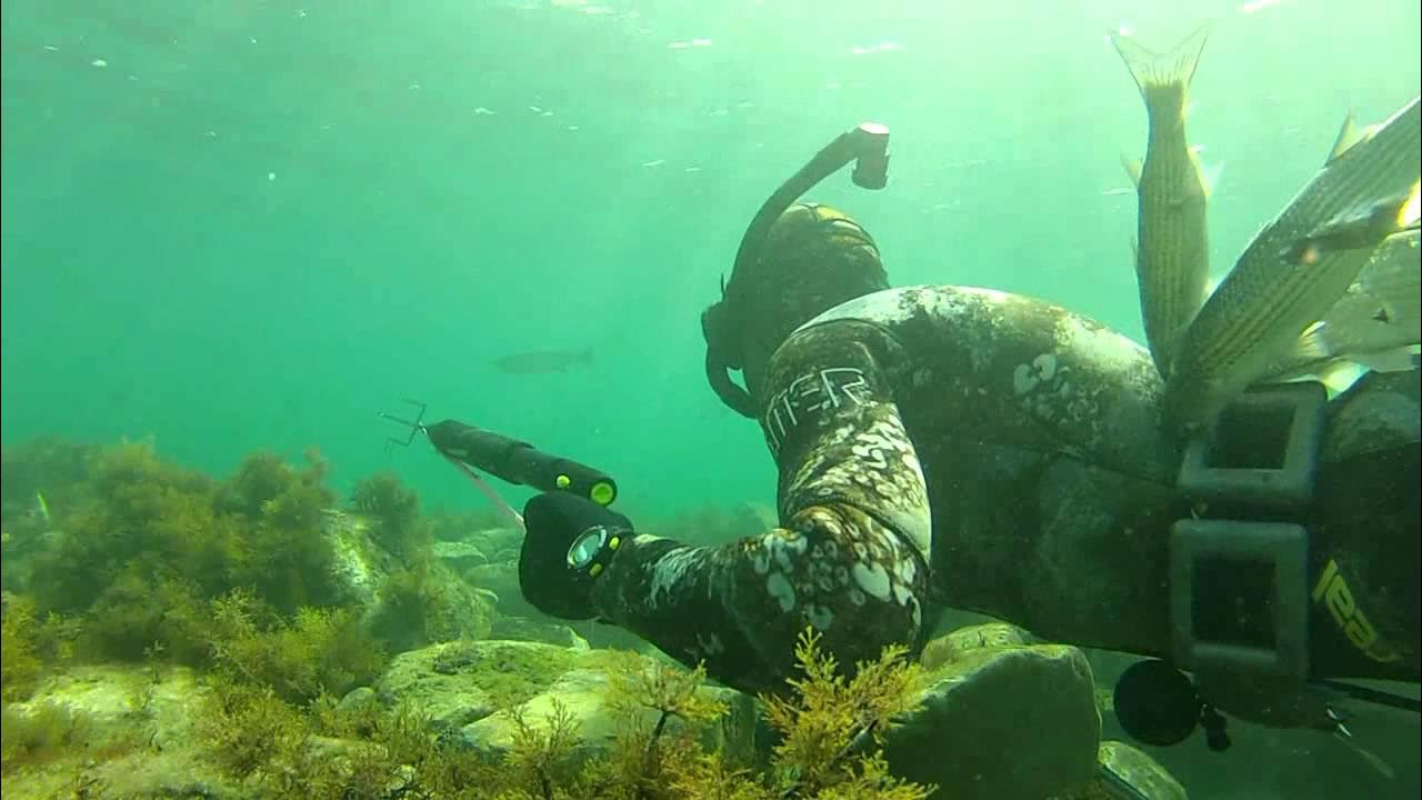 Можно ли заниматься подводной охотой. Подводная охота на онежском озере. Подводная рыбалка. Stalker подводная охота. Можно ли заниматься подводной охотой.