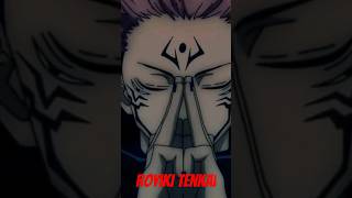 Domain Expansion Vs Royiki Tenkai