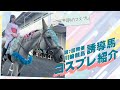 川崎競馬第7回開催　│　誘導馬コスプレ紹介