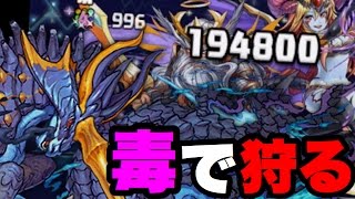 固定チーム！ネプドラでゼウス&ヘラを倒せ！【パズドラ】