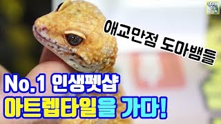 넘버원 인생펫샵을 가다! 아트렙 방문기 2부! 구독자 선물도 받았다!