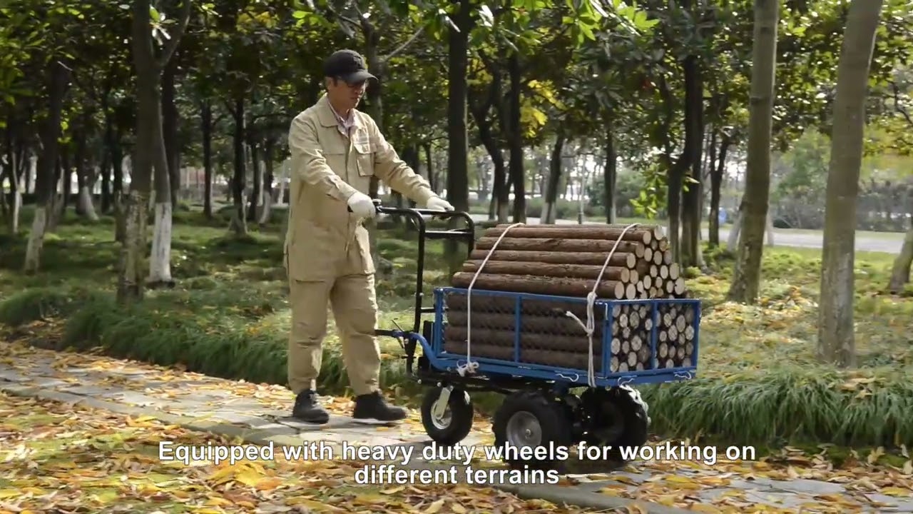 CARRIOLA ELETTRICA LANDWORKS