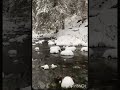 nature#snow#calm#