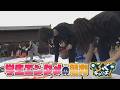 にじパレ ふくキャッチ! ~学生エンタメ~