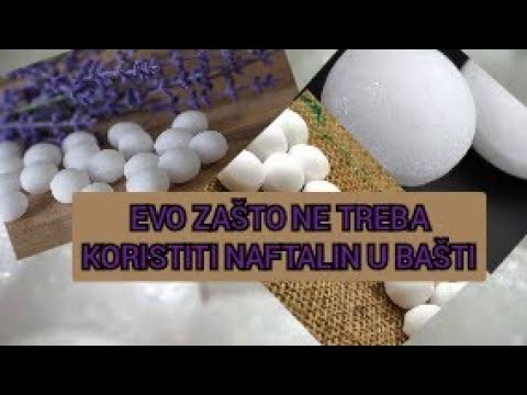 Video: Da li naftalin odvlači miševe?