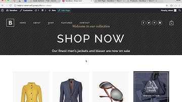 How to Edit the Title Area for a Bridge Theme WordPress Website