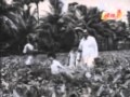 Anbu Sagotharargal, sv ranga rao, muthukku mutthaga.wmv