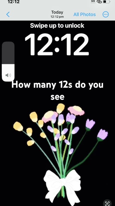 when does the 12s come out