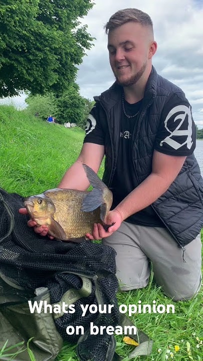 big-bream-7lb-what-is-your-opinion-on-bream-viral-shorts