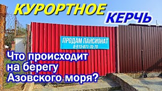 КУРОРТНОЕ / КЕРЧЬ ( МамА Русская). ЗМЕИ на ПЛЯЖЕ вместо туристов. ВСЕ ЖДУТ ЧУДА!! Крым 2023.