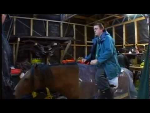 Behind the scenes of Lord of the Rings [Funny horses scenes]