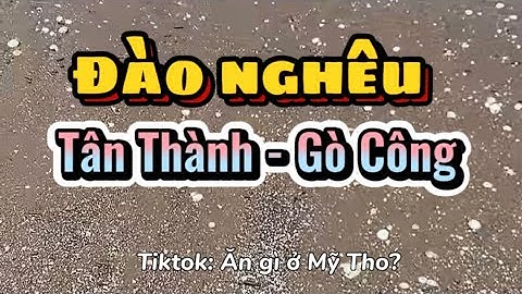 [Gò Công] Reup Live stream Tiktok: Đào nghêu ở biển Tân Thành