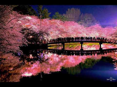 김광진 동경소녀 1시간 재생