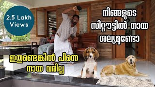 നിങ്ങളുടെ സിറ്റൗട്ടിൽ നായ ശല്യം ഉണ്ടോ | ഇതുണ്ടെങ്കിൽ നായ സിറ്റൗട്ടിൽ കയറില്ല