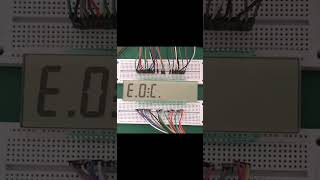 70PIN TN Positive 6-Digits Segment ED139