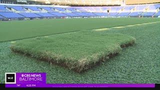 Baltimore's sod squad gets M&T Bank Stadium ready for AFC Championship Game