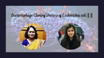 Cloning Vectors (Part 2): Bacteriophage Cloning Vectors of Escherichia coli 🧬 🧬