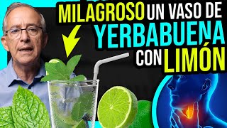 🌿 YERBABUENA Con LIMON 🍋 Que Maravilla - Oswaldo Restrepo RSC