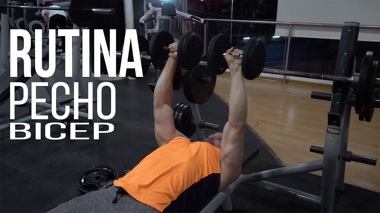 tabla de pecho y biceps
