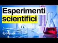 10 esperimenti scientifici fatti e spiegati da noi: dall'uovo che rimbalza alla soluzione piranha