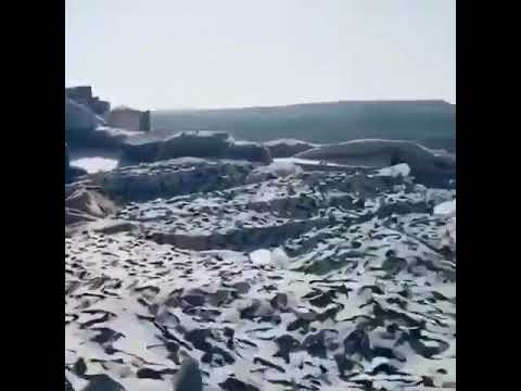 دام عزك يا وطن شيلة حنا وصلنا السماء 