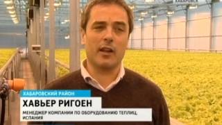 Вести-Хабаровск. Теплицы по выращиванию салатов на природном газе(Руккола на стол потребителя! В Хабаровском крае сегодня запустили уникальный для региона проект - теплицы..., 2014-11-06T10:55:27.000Z)