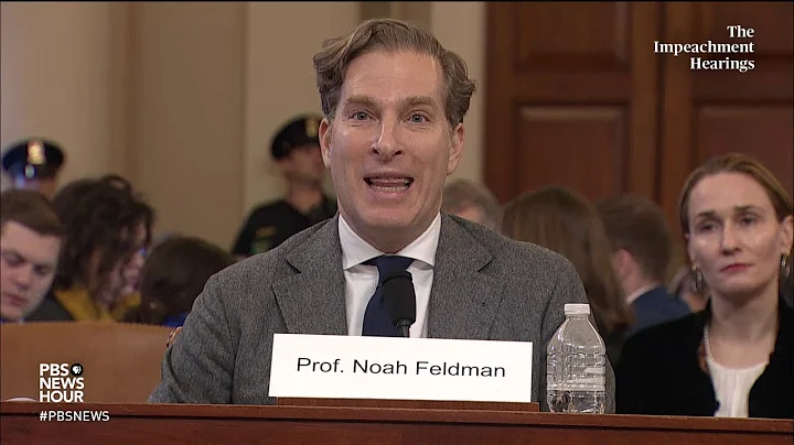 WATCH: Trump actions are ‘precisely’ why U.S. founders allowed for impeachment, Feldman testifies