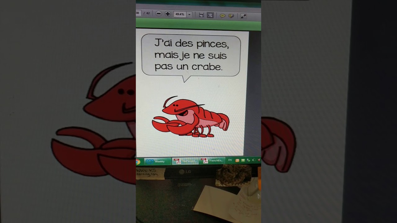 Je ne suis pas (animaux). - YouTube