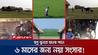 হাওরের মাঝে ৬ মাসের জন্য ঘর বেঁধে বোরো ধান ফলান জিরাতি কৃষক | Agriculture