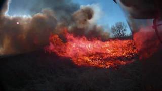 Extreme botany  Flame Spread in a grass fire