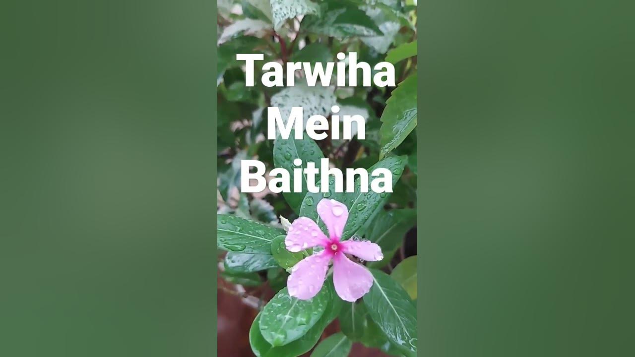 what-is-called-sitting-in-every-four-rakat-of-taraweeh-shortsvideo