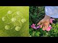 Crop Circle changes overnight and reveals P's and T's for PT avatar ~ 11th May 2026