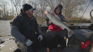 Gulp Minnow Rigging Tip