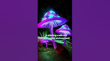 Tips for your personal mushroom experience