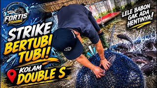 STRIKE FEST AT DOUBLE S POND ‼️ Galatama catfish fishing using mud worm bait