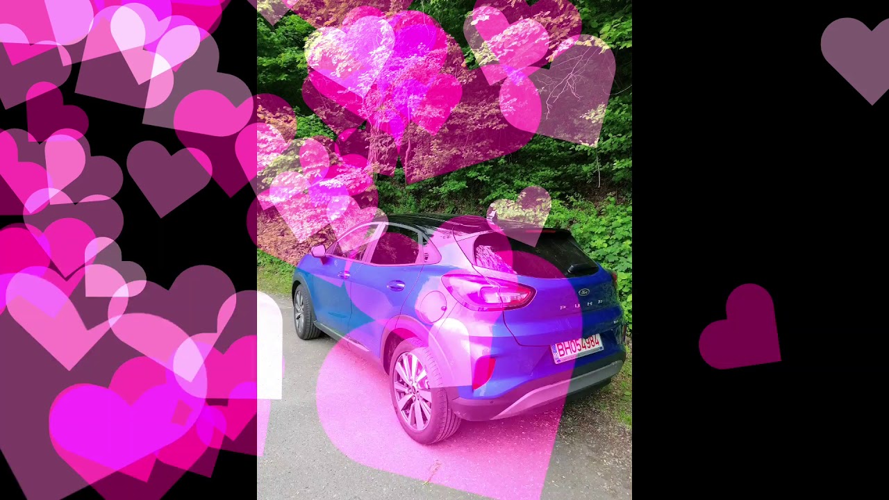 Ford lady video