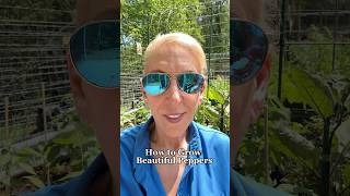How to prune pepper plants 🫑#veggiegarden #pepperplants #pruningtips #growingpeppers #gardening101