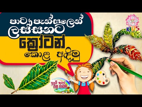 පාට පැන්සලෙන් ලස්සනට ක්‍රෝටන් කොළ අඳිමු | පුංචි අපේ චිත්‍ර පාඩම | Little Our Art Lesson
