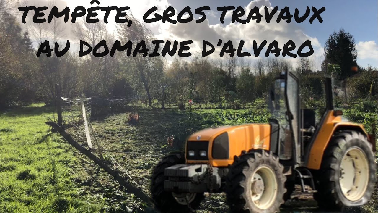 Tempête, gros travaux au domaine d’Alvaro