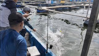 Download Lagu 30/12/2025 Trip Mancing at Sangkar Sungai Udang Penang  MP3