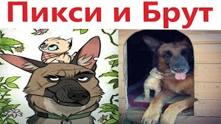 Комиксы - Пикси И Брут 1 Серия! Озвучка Доми Шоу!