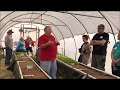 Hallsome Farm Tour, Aquaponics, Food Forest, Wicking Beds and Chicken Tractor