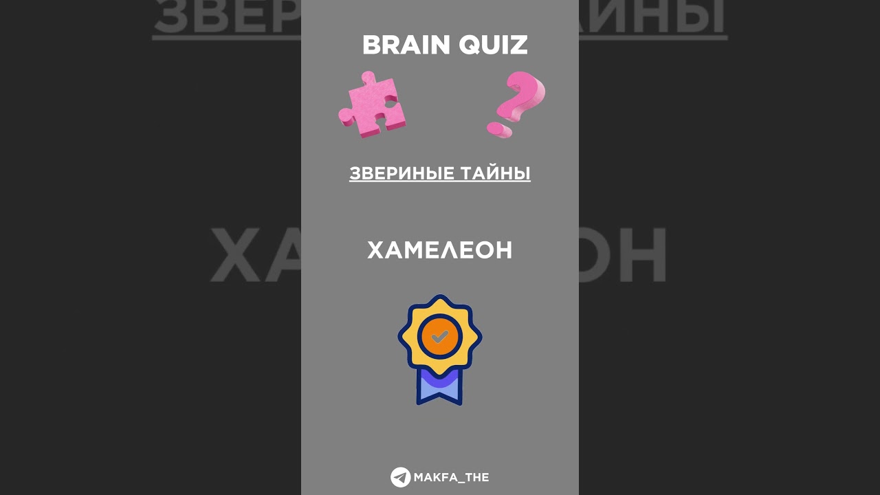 Звериные тайны 