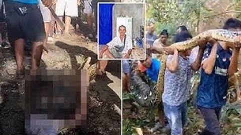 Shocking! Indonesian Farmer Swallowed Whole by 28ft Python