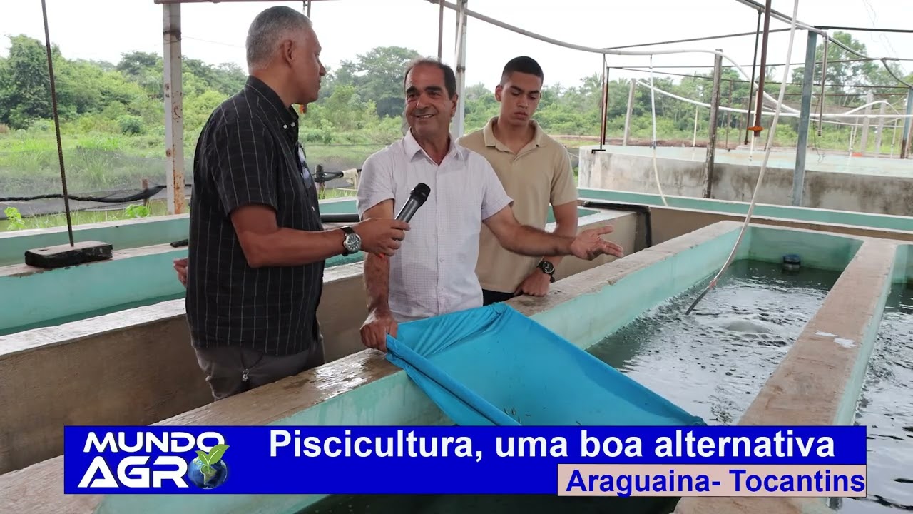 Piscicultura uma boa alternativa