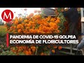Floricultores piden apoyos por bajas ventas en la Central de Abastos