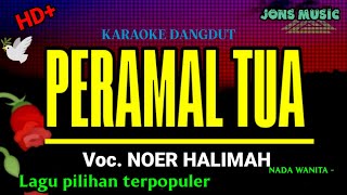 PERAMAL TUA || NOER HALIMAH || KARAOKE DANGDUT TRENDI || NADA WANITA